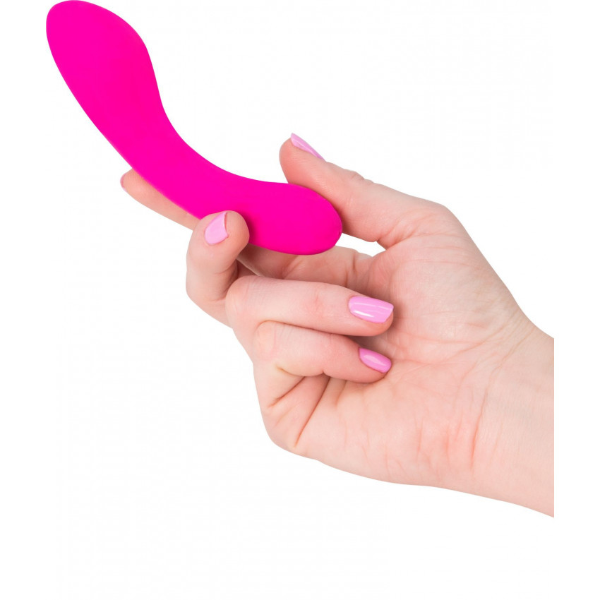 Minivibrator The Mini Swan Wand, two vibromotors, for vaginal-clitoral stimulation